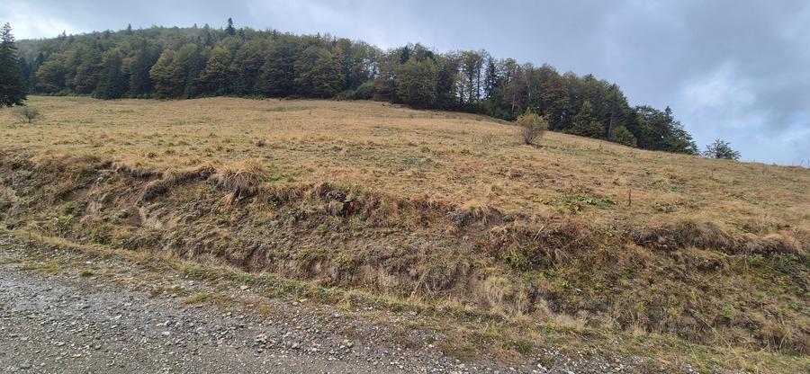 Teren deosebit in cadru de poveste langa cabana Diham, Glajerie - 1