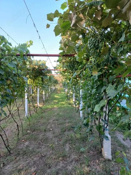 Casa de vanzare Motru - 6