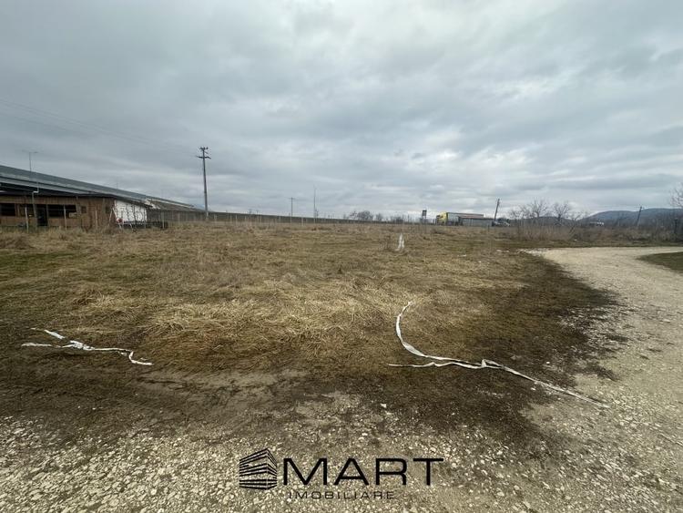 Teren Intravilan 1000 mp Rasnov - 4
