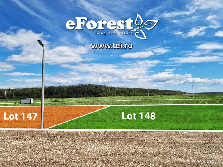 Loturi de casă 720 - 900 mp, langă Pădure în eForest, acces asfaltat - 7