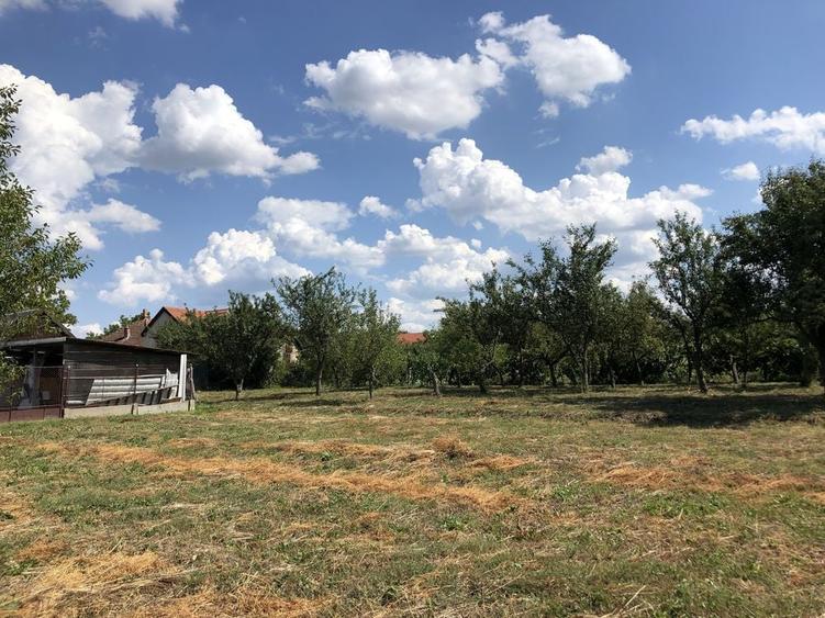 Vand teren de casa in Ardud - 2