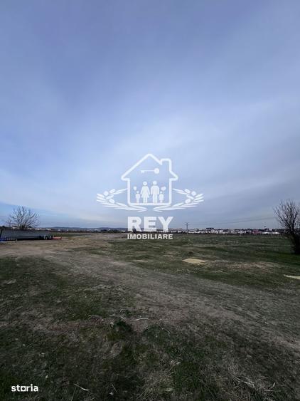 Teren Arabil Turni?or - Spre ferma de pui - 5