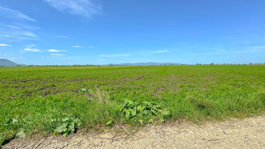 Teren intravilan, 1.7 hectare, Stupini Strada Barsei - 5