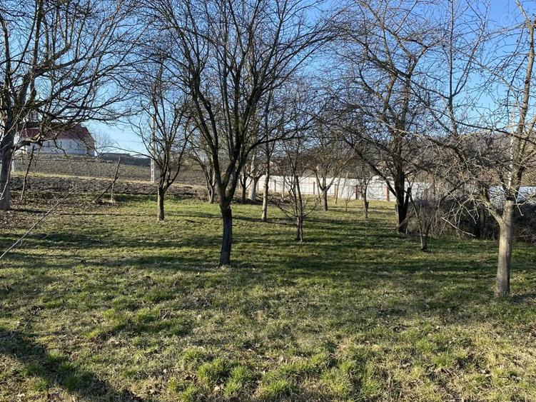 Casa familala tip duplex - 10