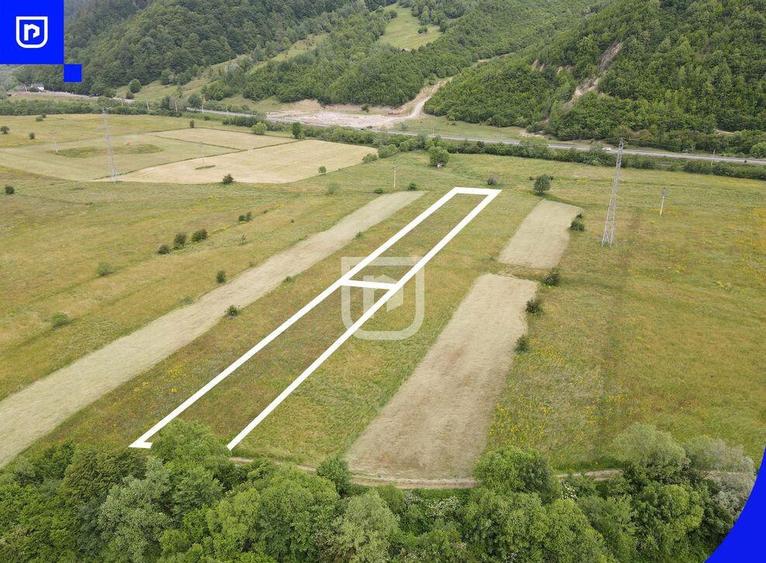 Teren Vorone? | Gura Humorului | Suceava - Bucovina - 28... - 5