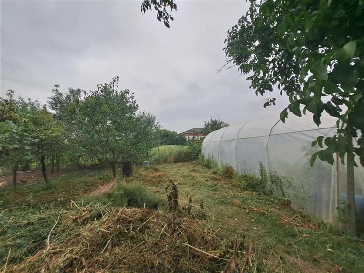 RECO  casa batraneasca Salard - 5