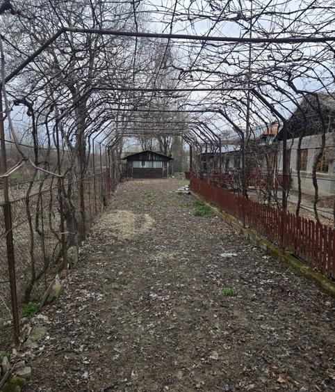 Teren intravilan de vanzare 2700 mp ideal investitie sau constructie - 5