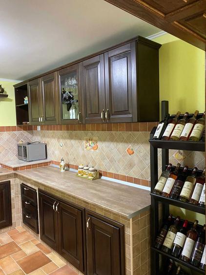 Vila-casa de vacanta Lepsa, Vrancea - 3