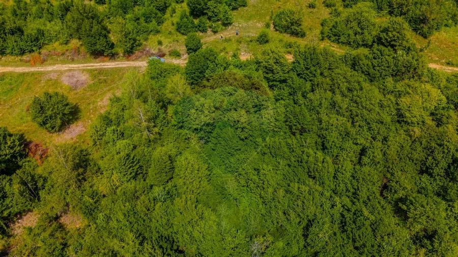 COMISION 0% Teren Grid/Inima Naturii/ Oportunitate de investitie - 3