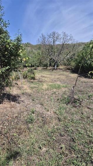 RECO Teren intravilan in Oradea - 7