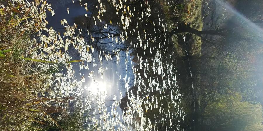 Proprietar - Vand sau Schimb - Casa si teren in Preluca Noua - Maramures - 1