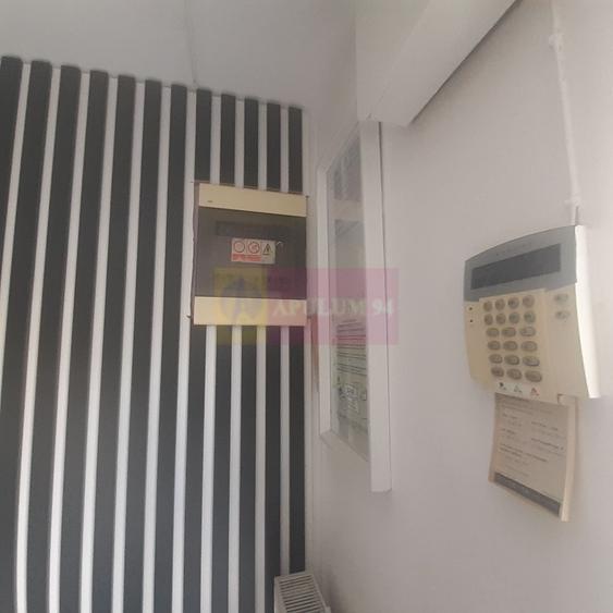 Spatiu Comercial Stradal Șoseaua Colentina zona Teiul Doamnei Suveica - 49