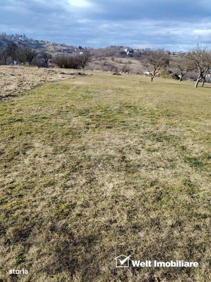 Ocazie/ Teren de vanzare in FELEAC - 3