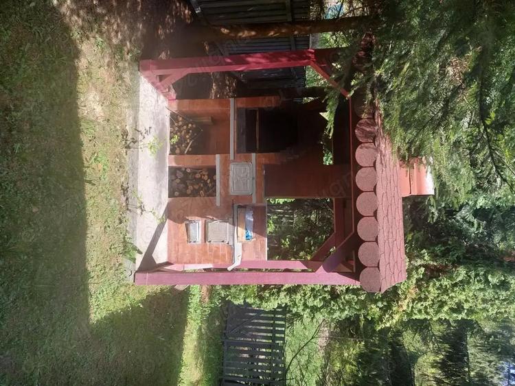 Casa de vacanta Colibita - 10