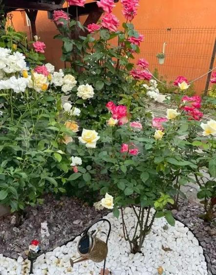 Casa de vanzare, 175 mp, teren 6 ari, zona Unirii - 10