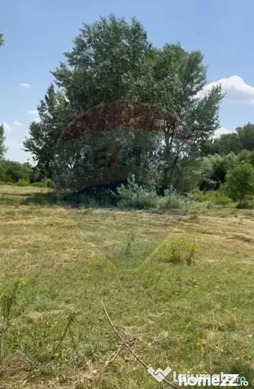 Teren-5000mp DN Ganeasa,sat Sindrilita,T9/Parcela 32/37 - 1