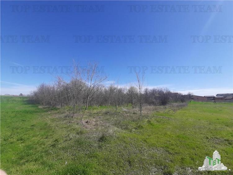 Teren Construcții intravilan de 4000 mp, în Vârteju