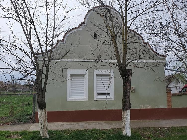 Casă cu 3 camere cu Teren 1750 Mp în Pustiniș