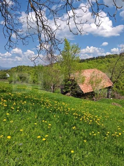 Teren Construcții intravilan de 3400 mp, în Bran