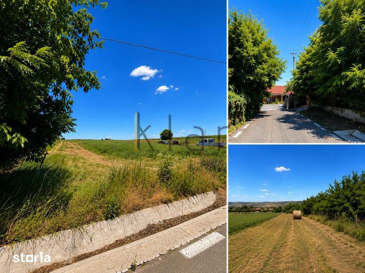 Teren 2.900 mp - 900 mp intravilan Jucu de Sus Panorama Investitie - 6