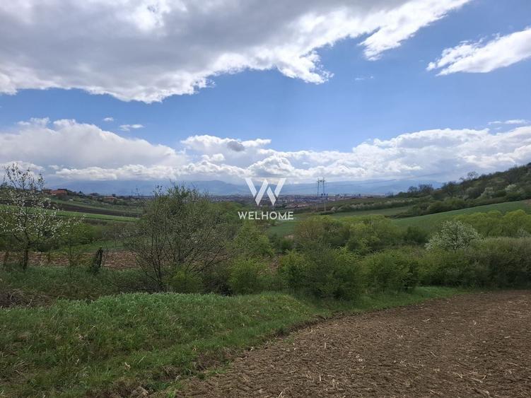 Teren agricol extravilan de 18175 mp, în Gușterița