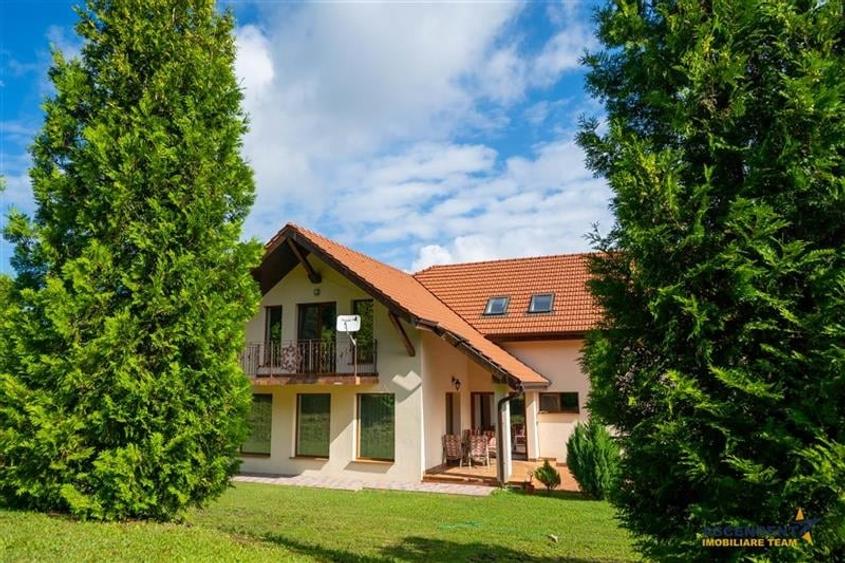 Refined ensemble, elite natural setting, 5 km from Corvin Castle. - 10