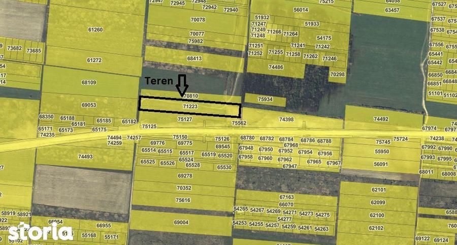 Teren 7481 mp, cu acces facil la Inelul Metropolitan - 4