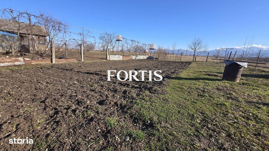 Casa cu priveliste spre munte 150 mp utili cu teren de 1000 mp - 1