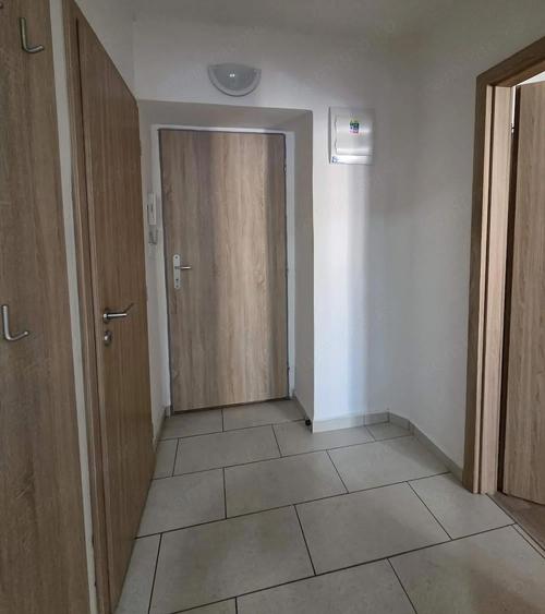 Garsoniera de vanzare in zona Buziasului - 4