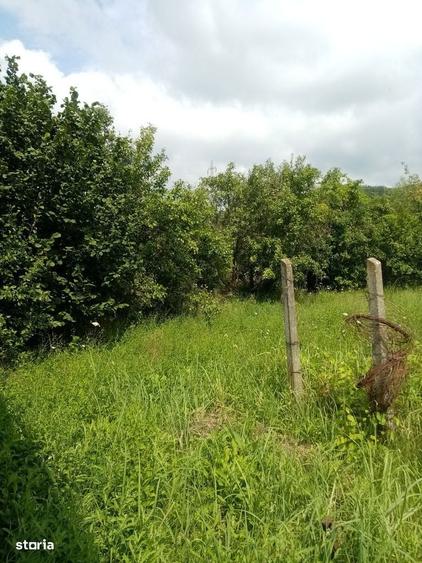 Oferta - Casa cu 2 camere si teren de 3198 mp - 6