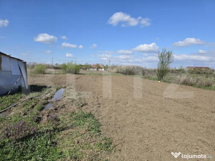 Casa de vanzare 3 camere, 80.70 mp, zona Satmarel-Satu Mare - 5