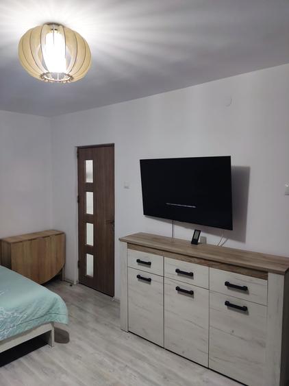 Garsoniera  LAPUS-ARGES/etaj 3/renovata /mobilata - 1