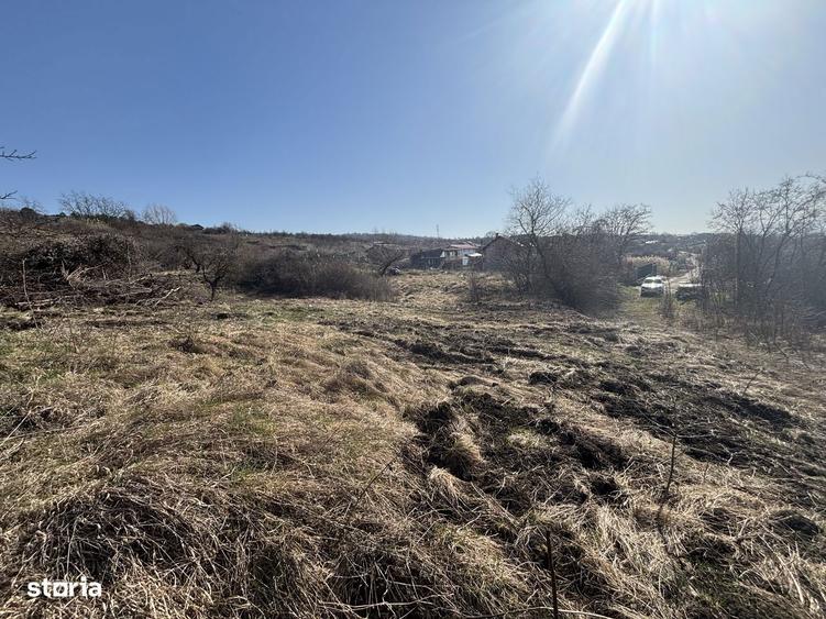 Teren Pomet/3 km Auchan - 5