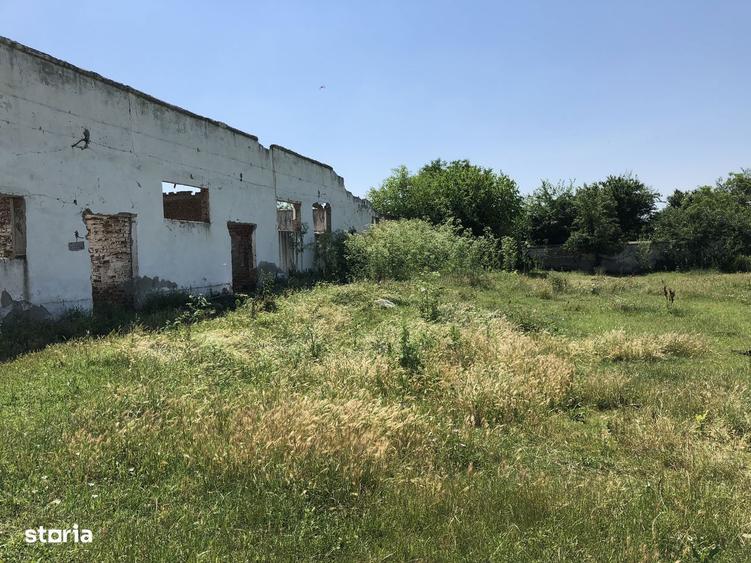 Teren + constructii de vanzare Radoiesti Cetatea, jud. Teleorman - 3