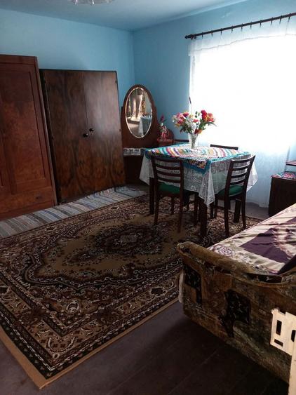 Vand casa la tara - 2