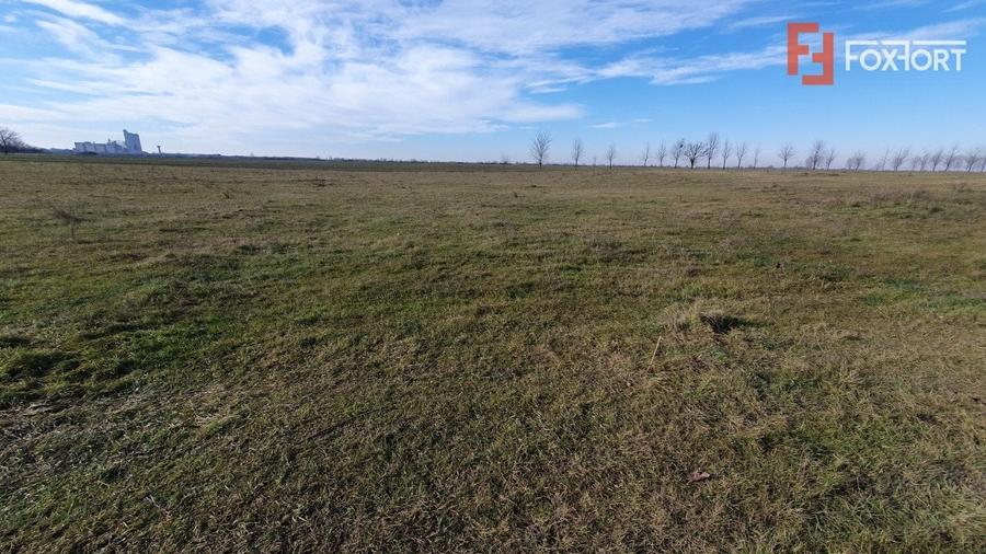 Teren intravilan 665 mp cu Puz aprobat - Padureni - 5