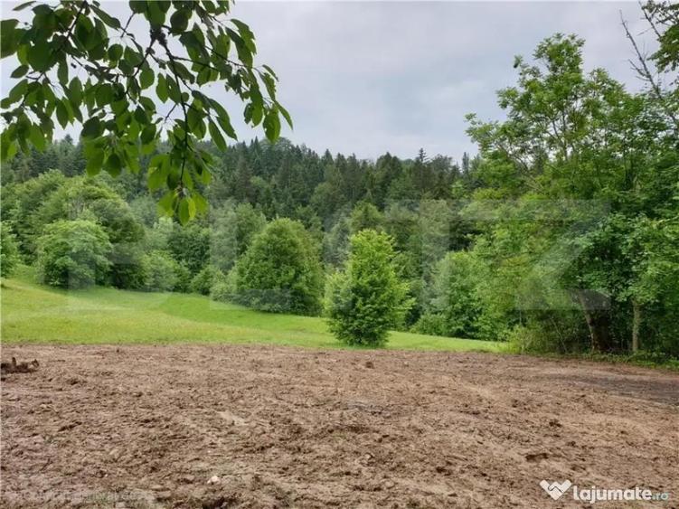 Teren intravilan 923 mp, Bucium, Alba - 3