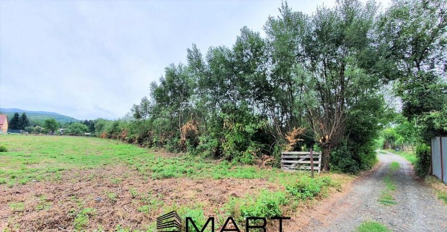 Teren intravilan 1700 mp Tocile de Sus - 1