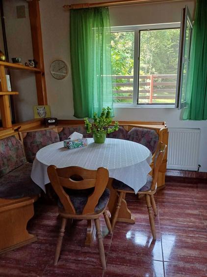 Vanzare Casa cu brazi, Breaza, vizavi de Lac de Verde - 6