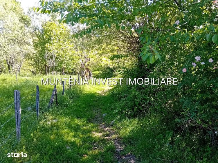 Teren 5596 mp. Com.Bradulet ,sat Galesu. - 5