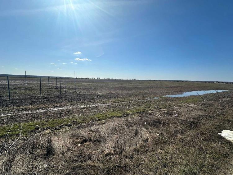 teren de vanzare - 8