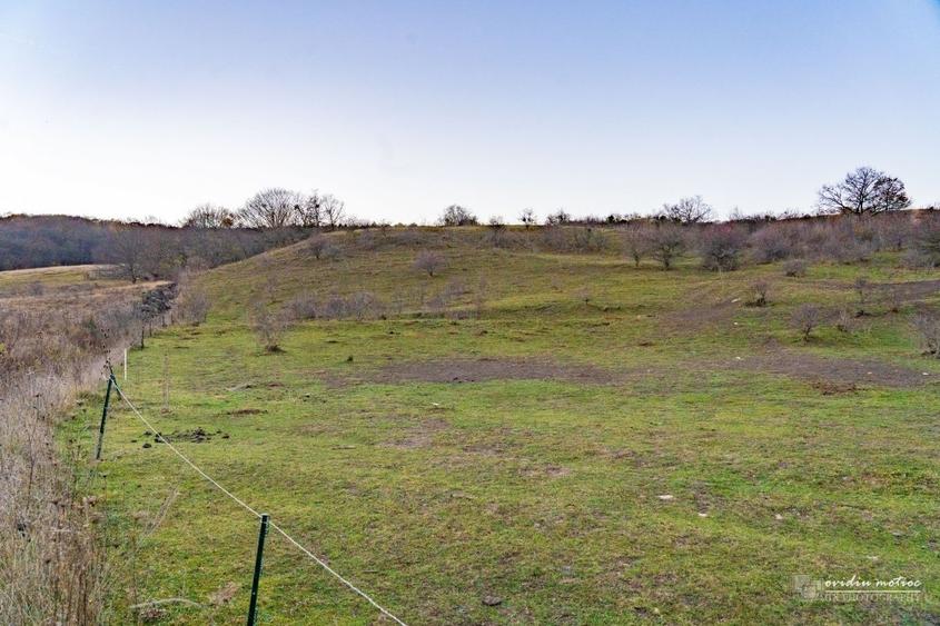 Teren investitii Valea Garbaului, CF+CU - 5