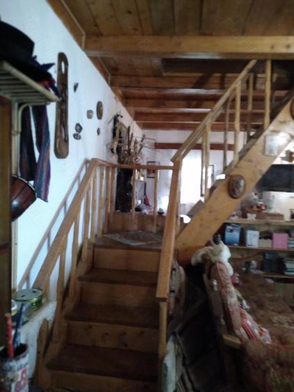 Casa de vacanta izvorul rece balta Mara cabana vanatorului - 7