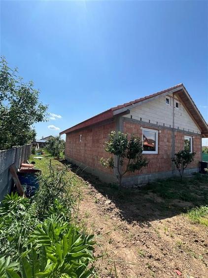 RECO Casa la rosu, la iesire din Les, langa padure - 9