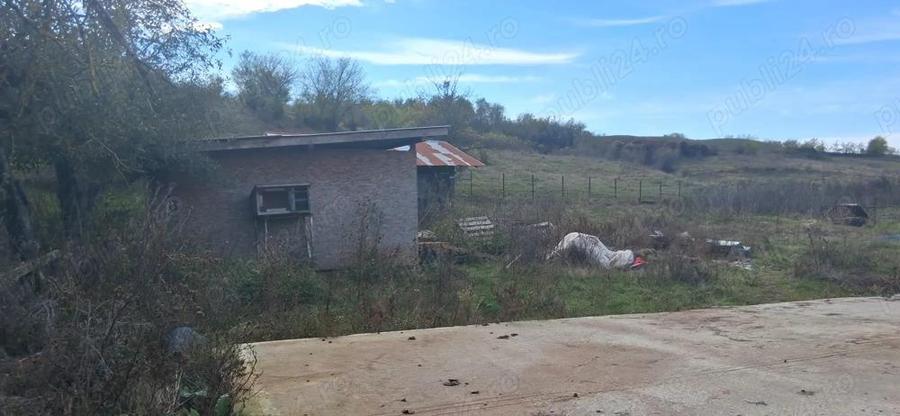 Ferma de vanzare , zona Dambu - 1