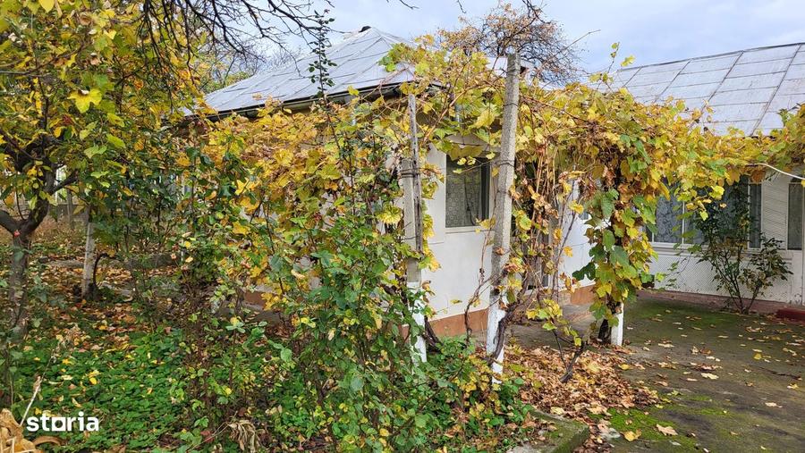 Casa de vanzare, 4 camere, teren 3200mp - 16