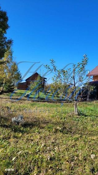 Cabana pe 2 nivele, 1600 mp teren, garaj, zona Rasca - 6