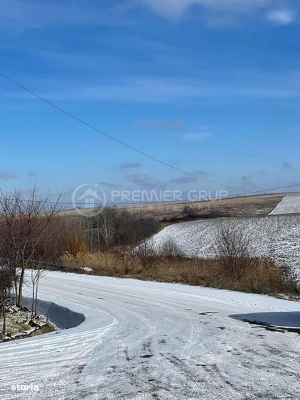 Teren extravilan 10.800mp, Horlesti, utilitati disponibile - 4