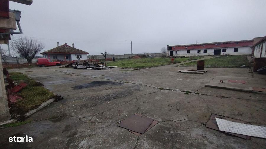 Teren industrial intravilan Ovidiu - 10