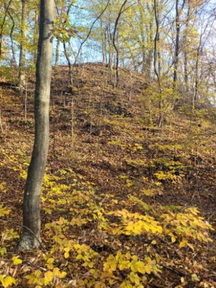 Vand teren cu padure la 5 km de Curtea de Arges,zona deal-munte,zona superba  - 7